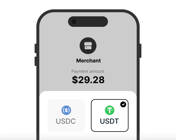 Pay in Stablecoin
